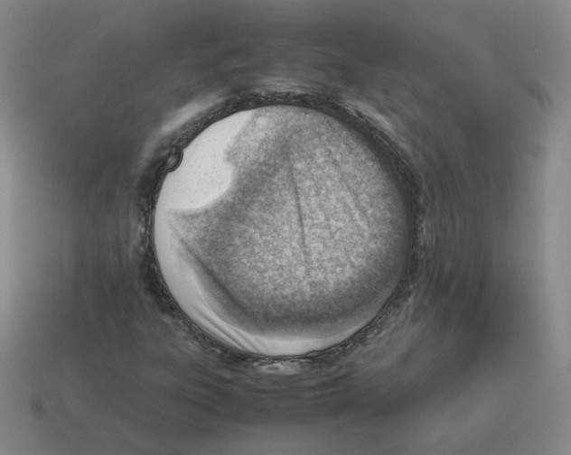 X0000114221303200911061458