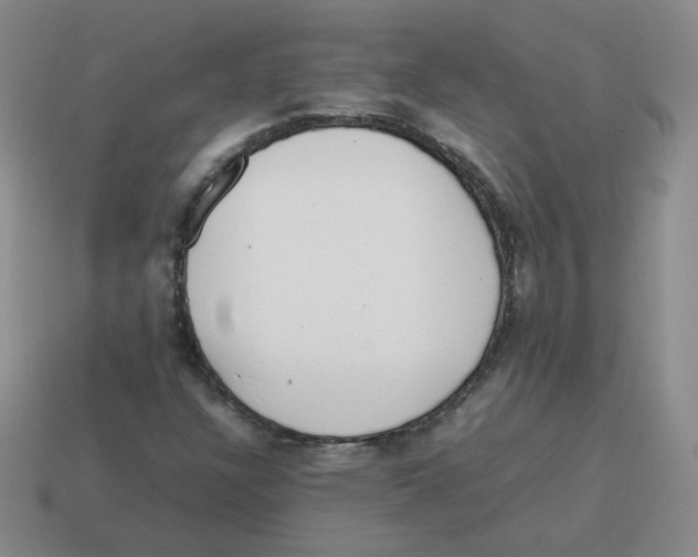 X0000114221304200911061458