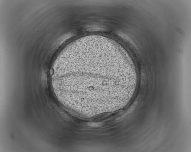 X0000114221305200911061458