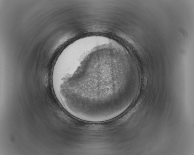 X0000114221306200911061458