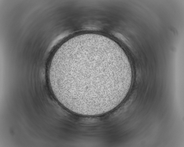 X0000114221307200911061458