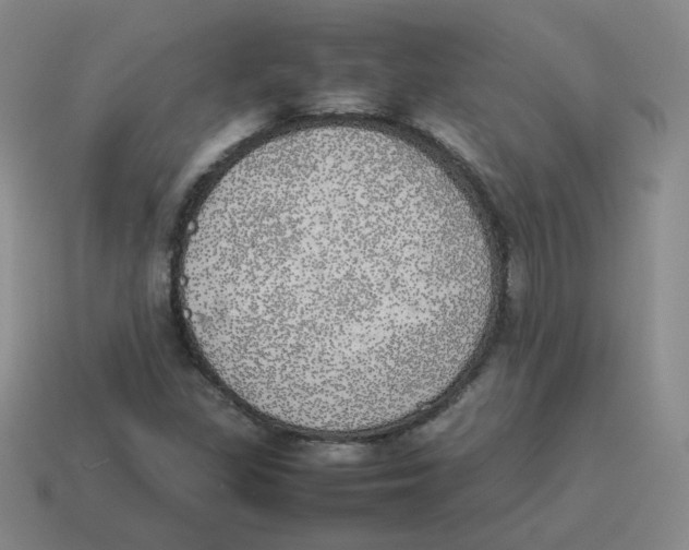 X0000114221309200911061458