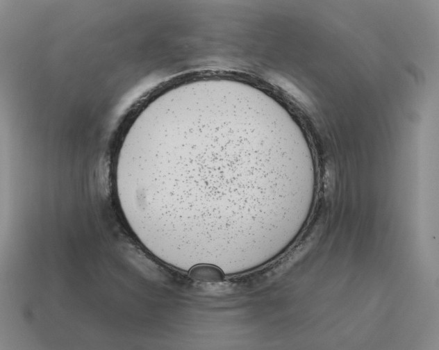 X0000114221310200911061458