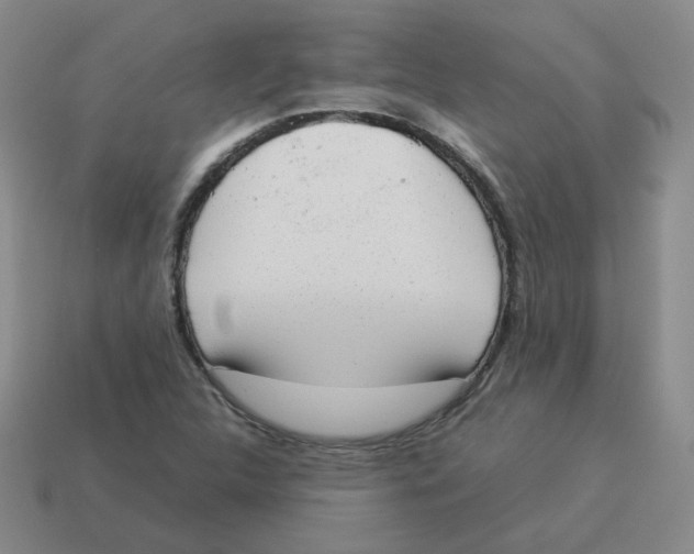 X0000114221312200911061458