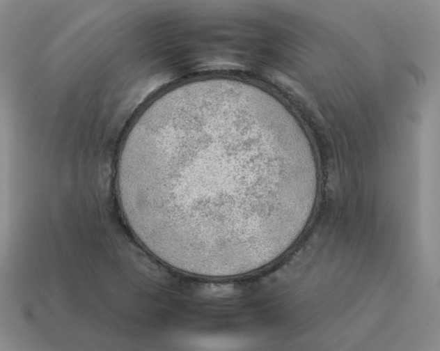 X0000114221313200911061458