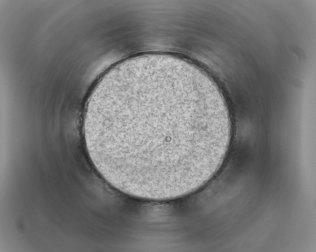 X0000114221314200911061458