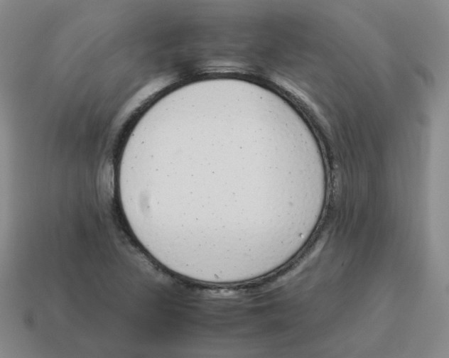 X0000114221317200911061458