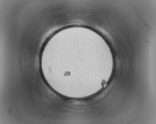 X0000114221318200911061458