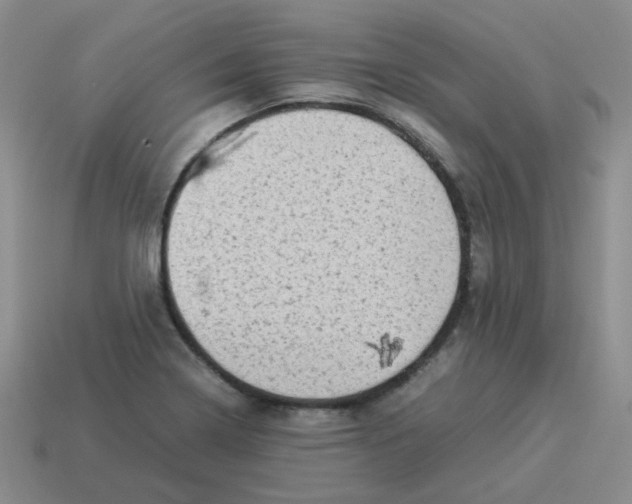 X0000114221322200911061458