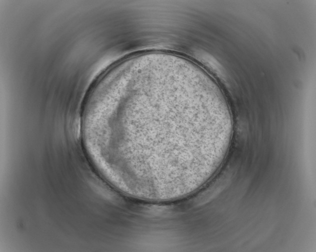 X0000114221324200911061458