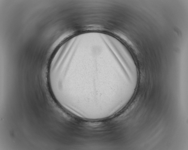 X0000114221325200911061458