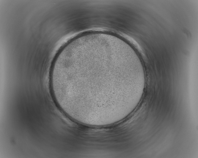 X0000114221327200911061458