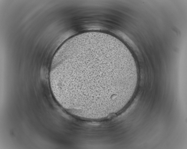 X0000114221329200911061458