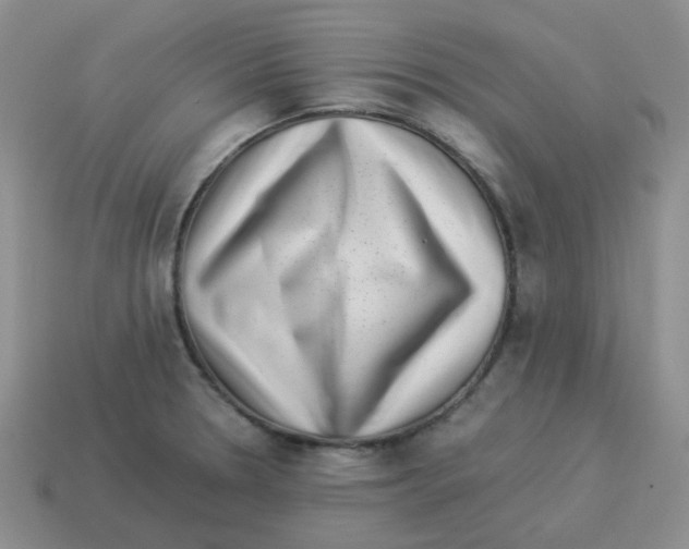 X0000114221330200911061458