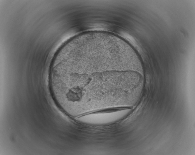 X0000114221331200911061458