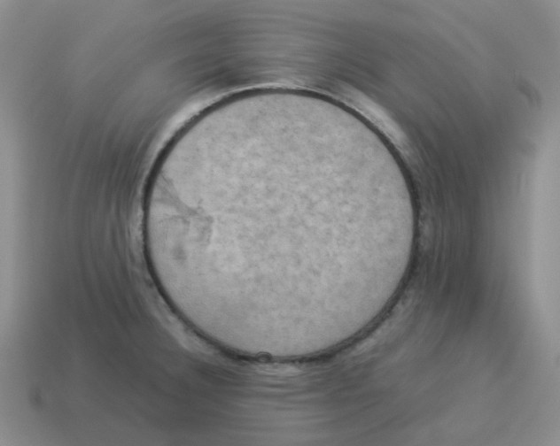 X0000114221332200911061458