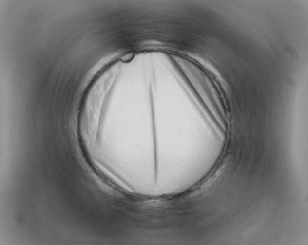 X0000114221333200911061458