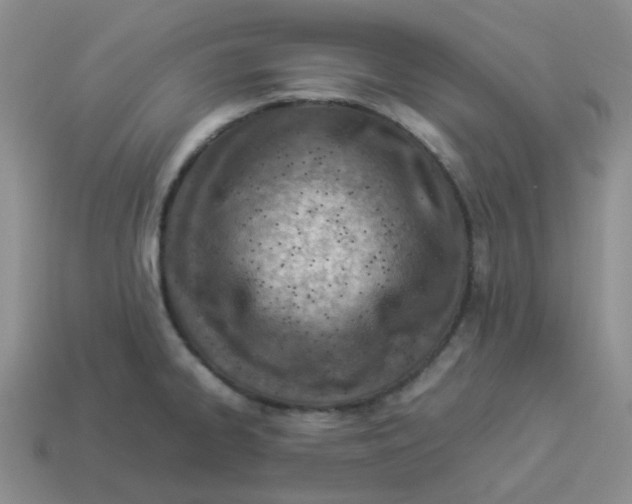 X0000114221334200911061458