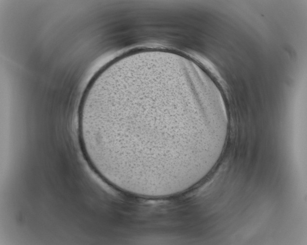 X0000114221335200911061458