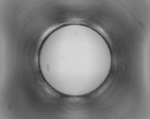 X0000114221336200911061459