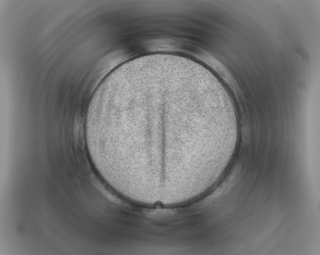 X0000114221337200911061459