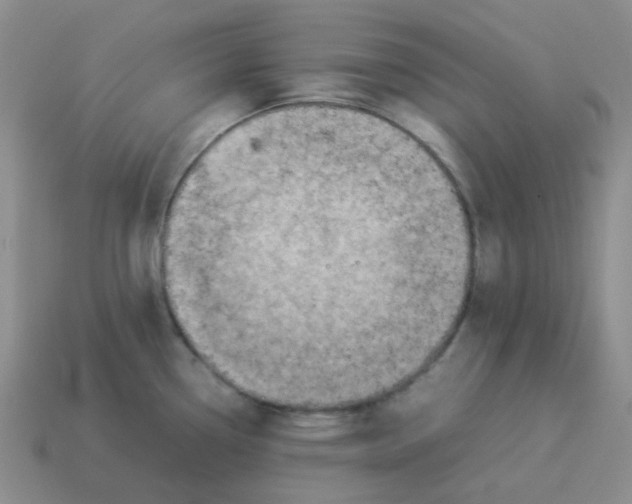 X0000114221338200911061459