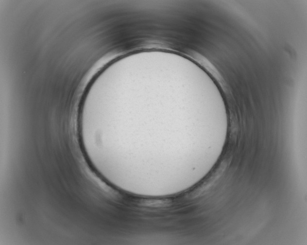 X0000114221339200911061459