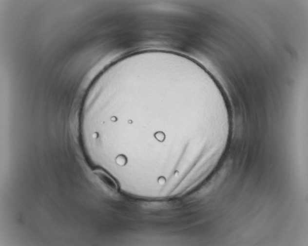 X0000114221341200911061459