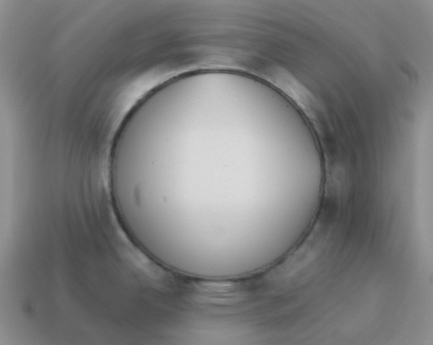 X0000114221342200911061459