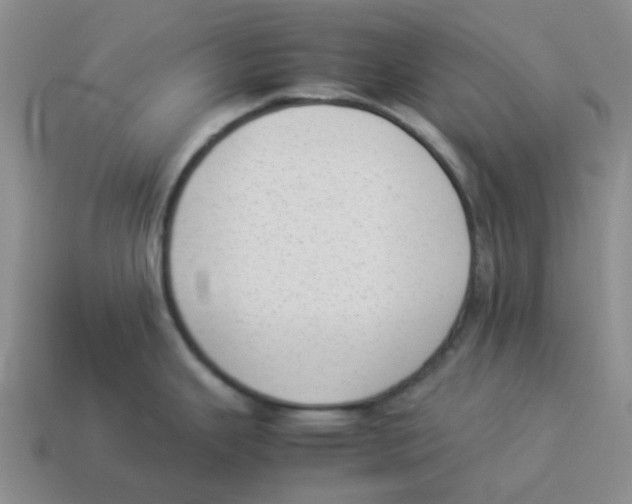 X0000114221343200911061459