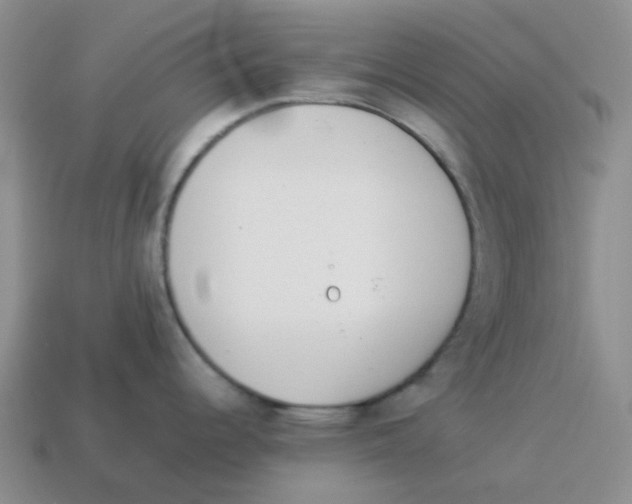 X0000114221344200911061459