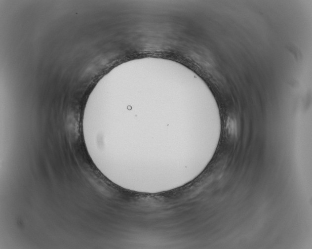 X0000114221348200911061458