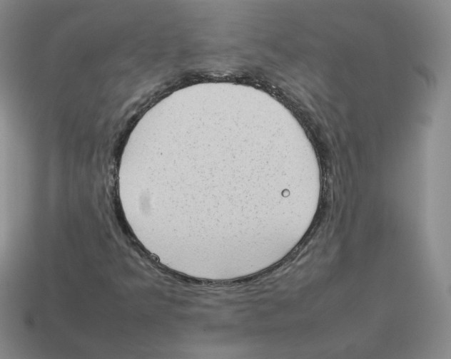 X0000114221349200911061458