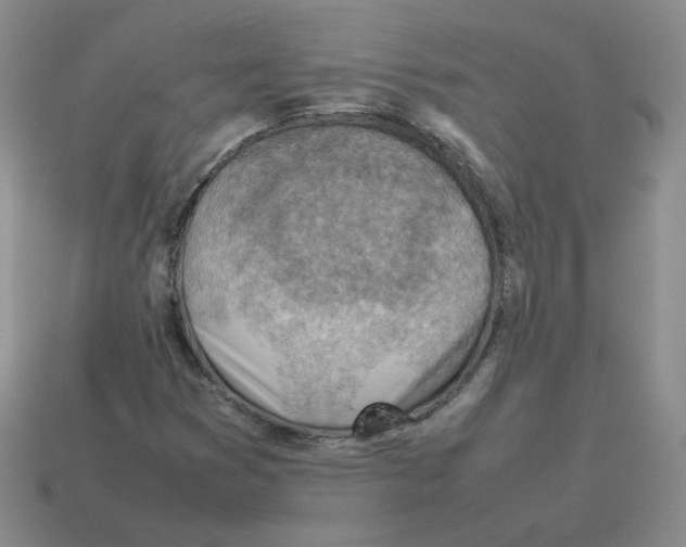 X0000114221353200911061458