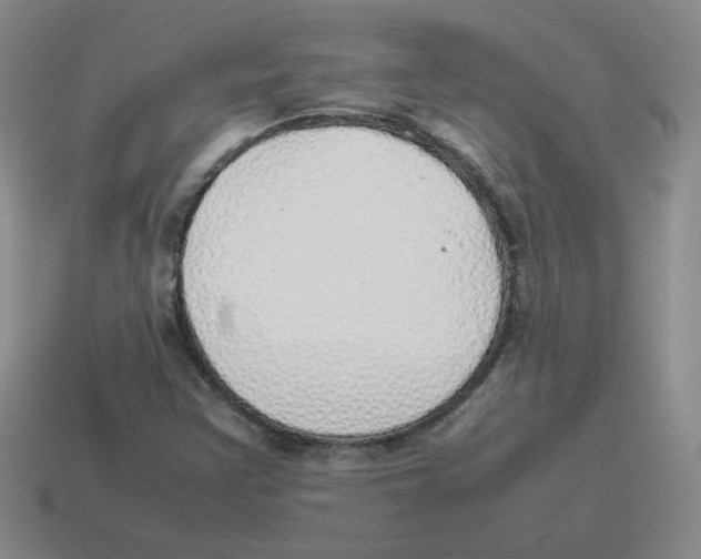 X0000114221355200911061458