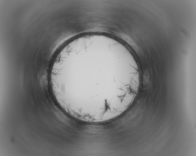 X0000114221356200911061458