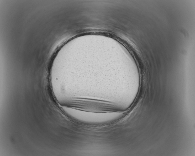 X0000114221357200911061458