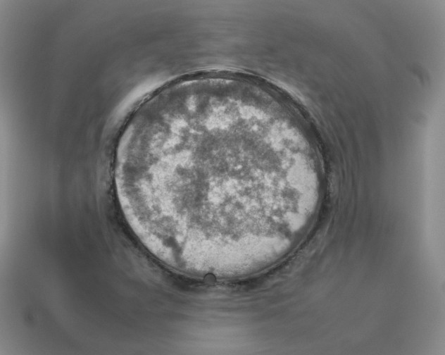 X0000114221359200911061458