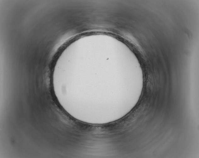 X0000114221360200911061458