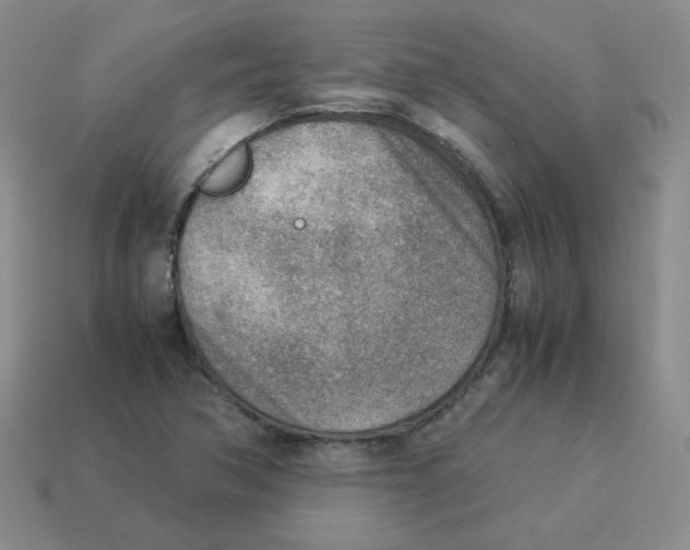 X0000114221362200911061458