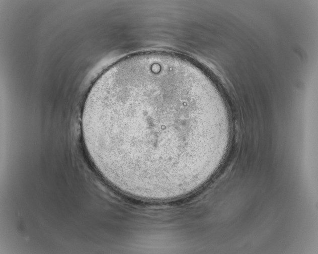 X0000114221363200911061458