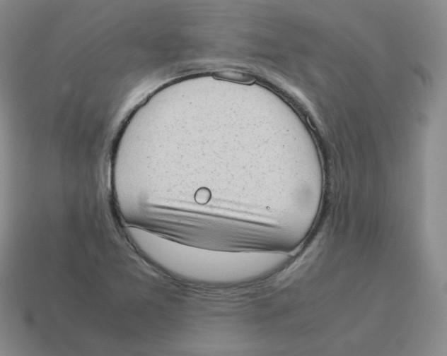 X0000114221365200911061458