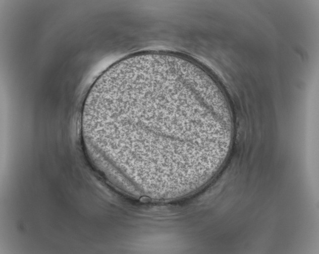 X0000114221367200911061458