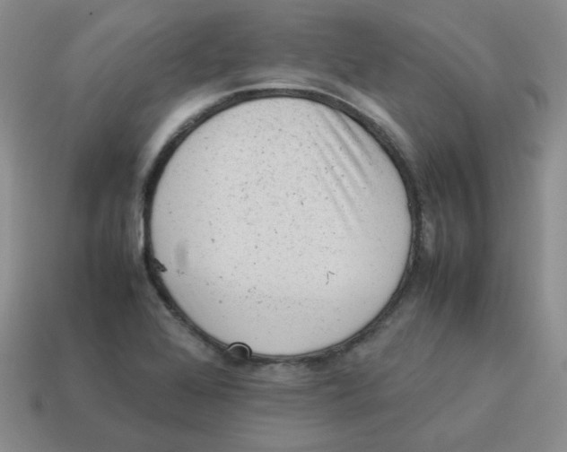 X0000114221368200911061458