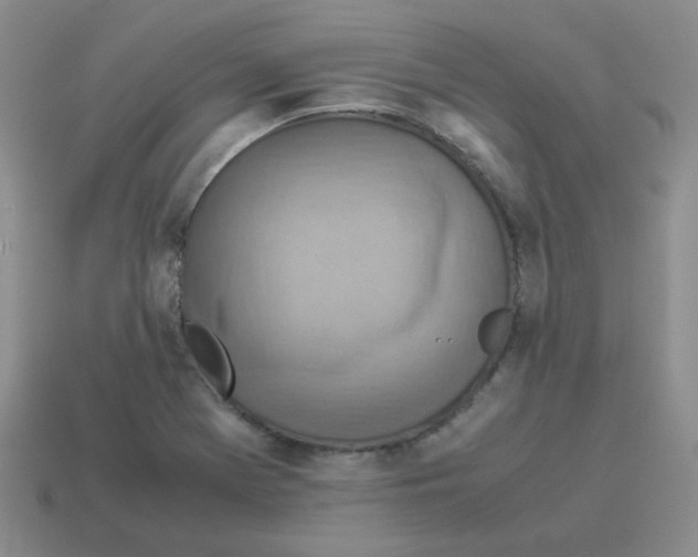 X0000114221369200911061458