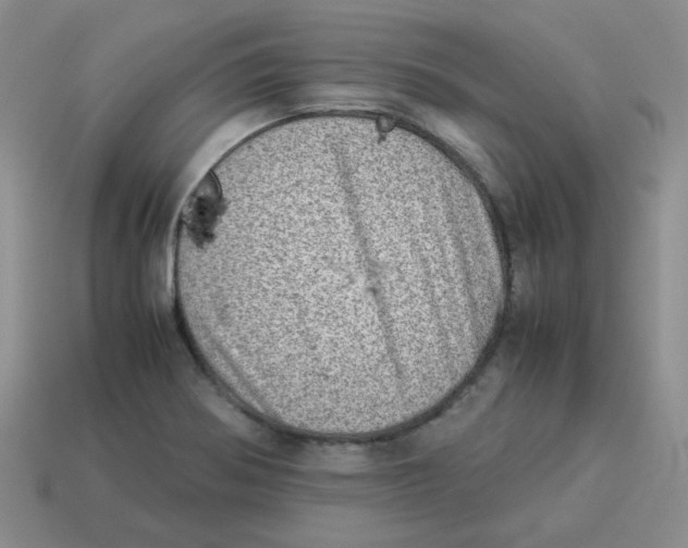 X0000114221370200911061458