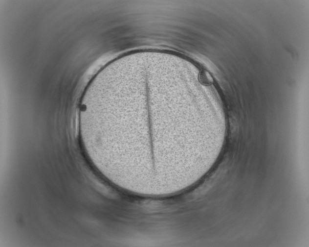 X0000114221371200911061458