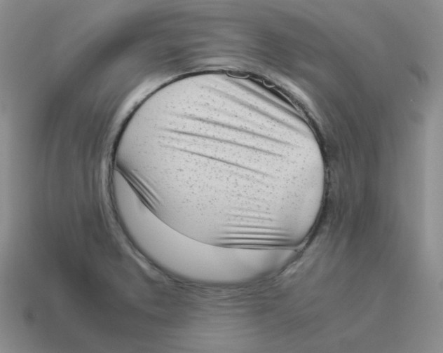 X0000114221373200911061458