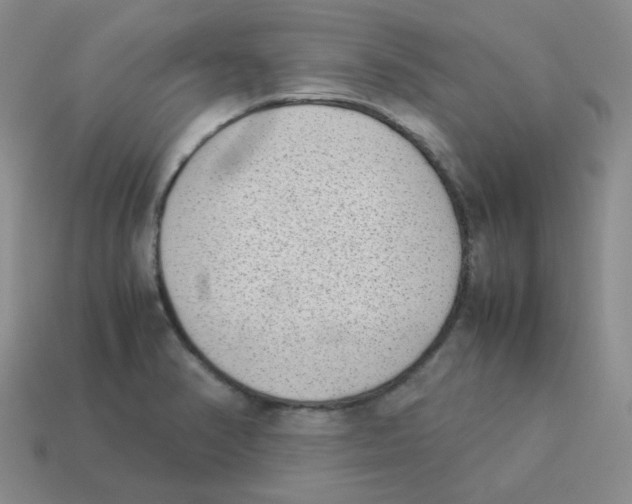 X0000114221374200911061458