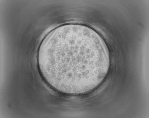 X0000114221375200911061458